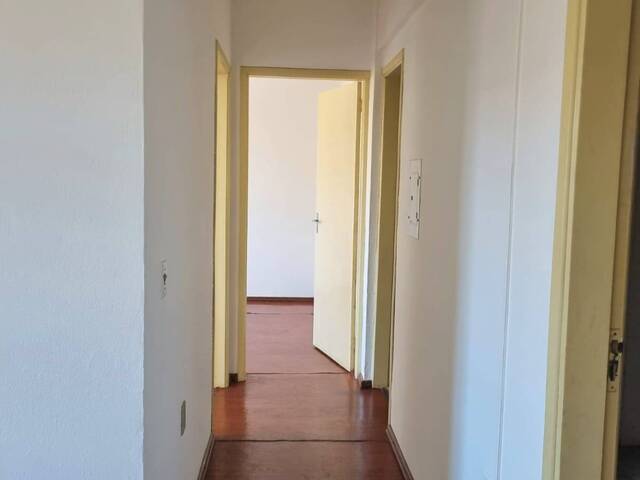 #532 - Apartamento para Locação em Santa Rosa - RS - 3