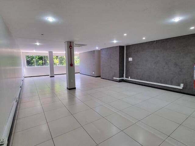 #559 - Sala para Locação em Santa Rosa - RS - 2