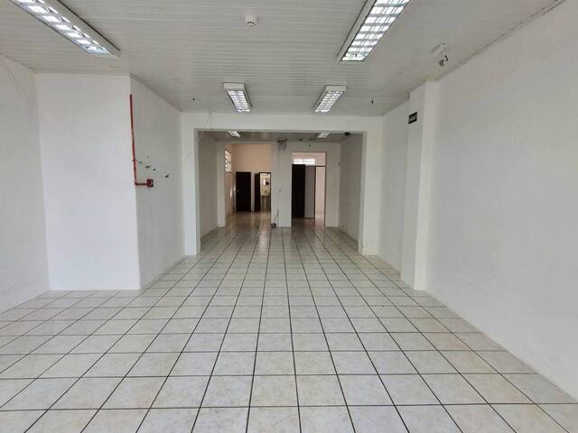 Sala para Locação em Santa Rosa - 3